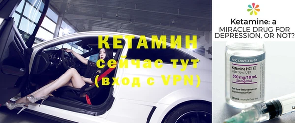 a pvp Бородино
