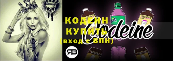 a pvp Бородино