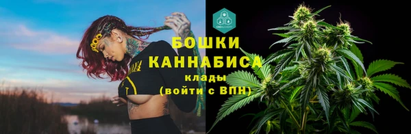 a pvp Бородино