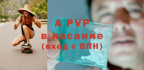 a pvp Бородино