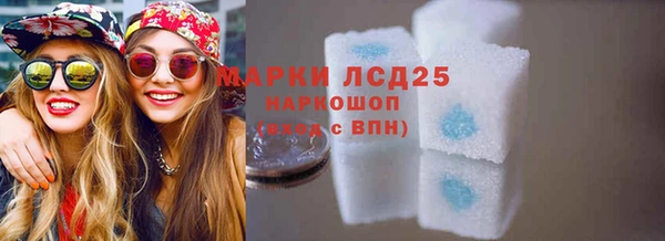 a pvp Бородино