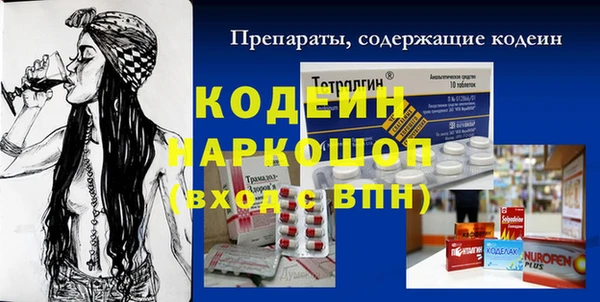 a pvp Бородино