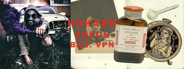 a pvp Бородино