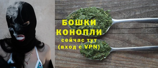 a pvp Бородино